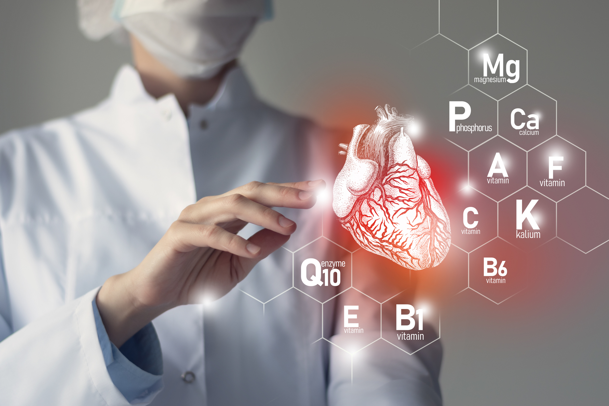 Le modèle représente le cœur, les vitamines et les minéraux ainsi que la coenzyme Q10.